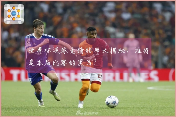 世界杯滚球竞猜赔率大揭秘，谁将是本届比赛的黑马？