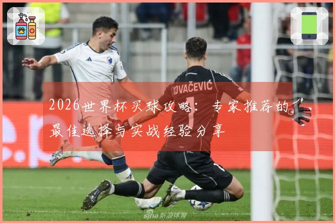 2026世界杯买球攻略：专家推荐的最佳选择与实战经验分享