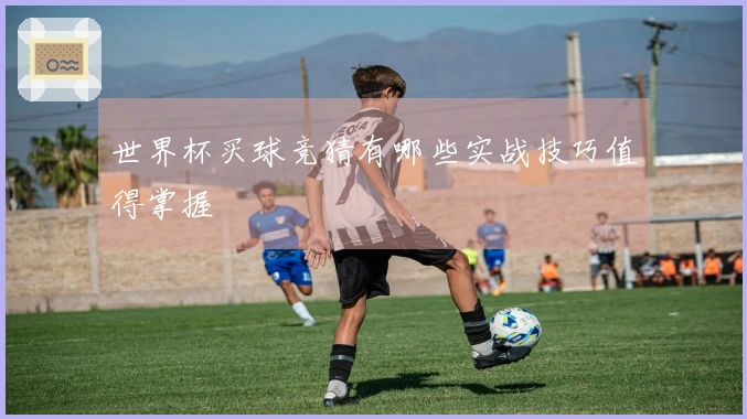 世界杯买球竞猜有哪些实战技巧值得掌握