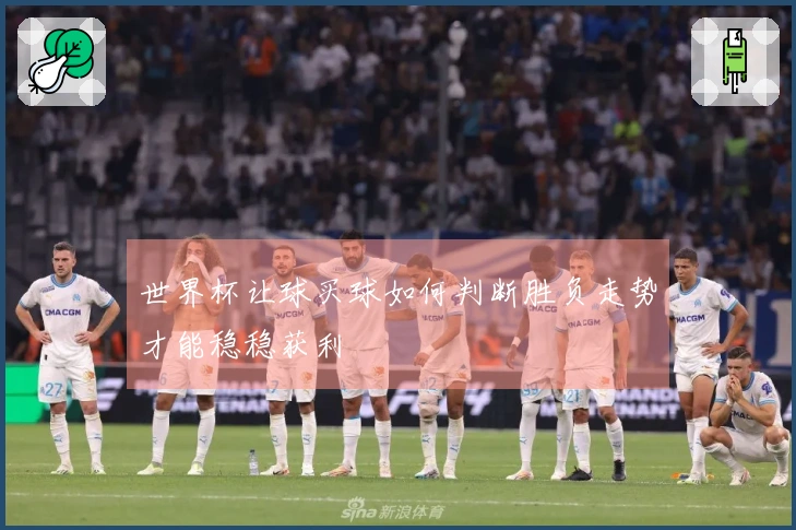 世界杯让球买球如何判断胜负走势才能稳稳获利