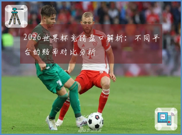 2026世界杯竞猜盘口解析：不同平台的赔率对比分析