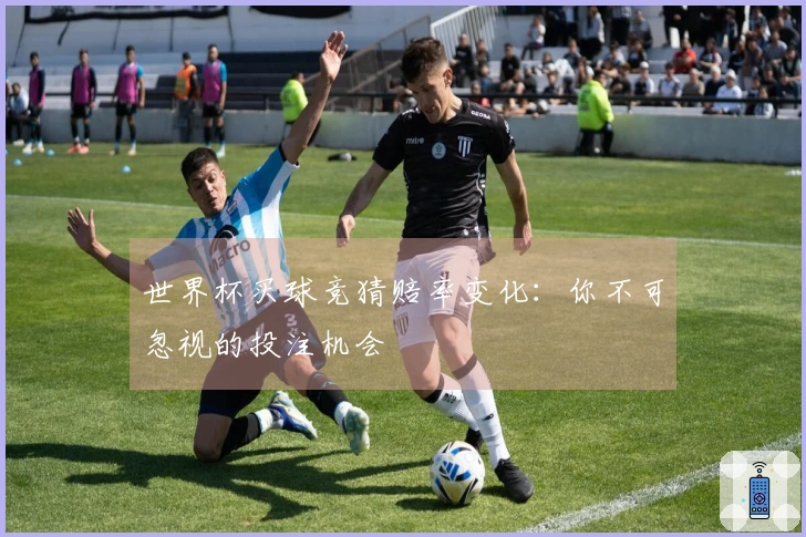 世界杯买球竞猜赔率变化：你不可忽视的投注机会