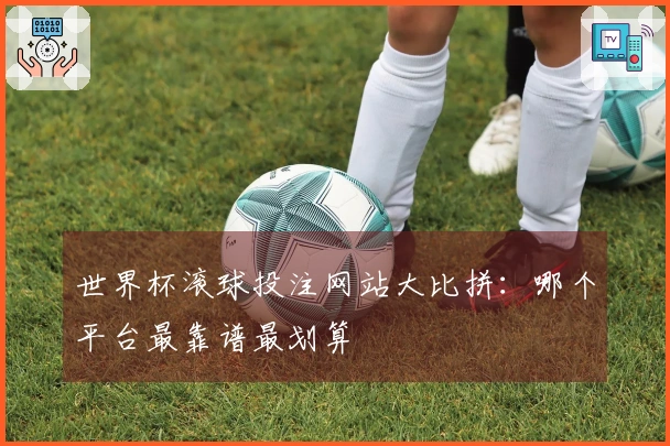 世界杯滚球投注网站大比拼：哪个平台最靠谱最划算